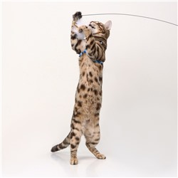 Дразнилка-удочка «Мягкая забава» со стальным тросиком, 90 см