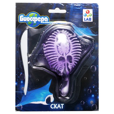 Познавательная анатомия, мини набор "Скат" 14х18см