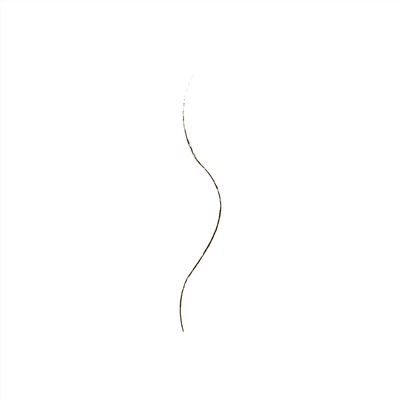 Wet n Wild, Ultimate Brow, ультратонкий карандаш для бровей, оттенок 649A темно-коричневый, 0,06 г