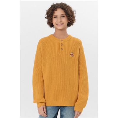 Джемпер для мальчиков MARK FORMELLE, 1227845