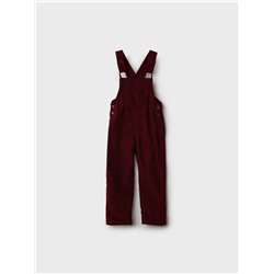 Полукомбинезон текстильный утепленный флисом для девочек