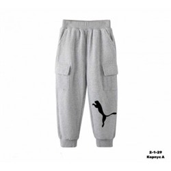 Спортивные брюки #22407820