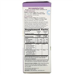 Nature's Way, Sambucus для детей, стандартизированный экстракт бузины, сироп для укрепления иммунитета, 120 мл (4 жидк. унции)