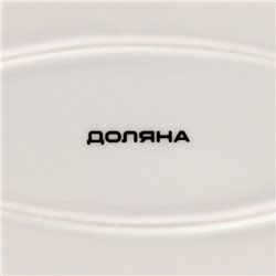 Блюдо Доляна «Млечный путь», 29.5×17.5 см, фарфор, белая в крапинку
