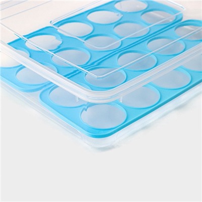 Контейнер для хранения яиц Доляна, 20 ячеек, 27.5×22×7 см, пластик, прозрачный, голубой