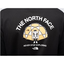 Футболка The North Face