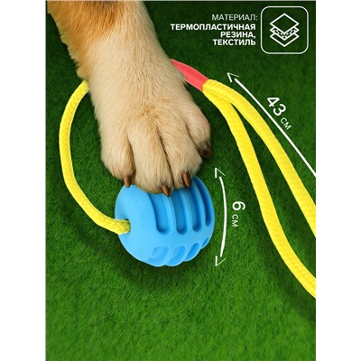 Игрушка «Шар усиленный на веревке», 43 см, шар 6 см, голубой