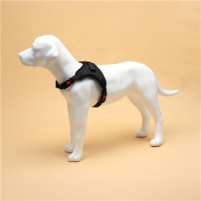 Шлейка К7, размер L, ОГ 64-86 см, вес 18-27.5 кг, мягкая, светоотражающая, чёрная