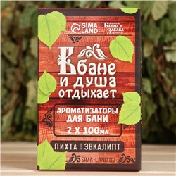 Набор ароматизаторов «В Бане и душа отдыхает», в подарочной коробке, пихта, эвкалипт, 2 шт. по 100 мл