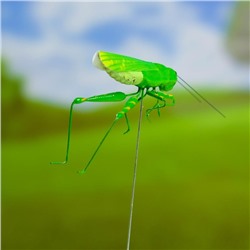 Штекер «Кузнечик зеленый», 3×5 см/22 см, набор 2 шт.