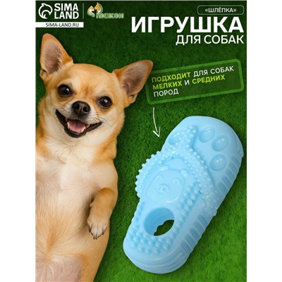Игрушка для собак «Шлёпка», TPR, массажная, 12×6.2 см, голубая