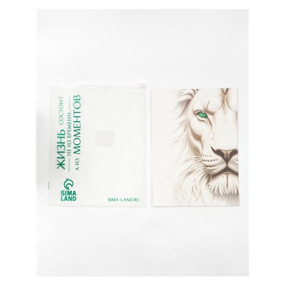 Пакет подарочный «Новогодний подарок», с носком для подарков и шильдиком, 31×40×11 см