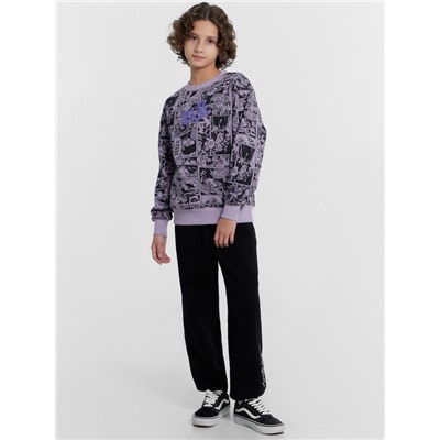 СВИТШОТ ДЛЯ МАЛЬЧИКОВ 123431/1