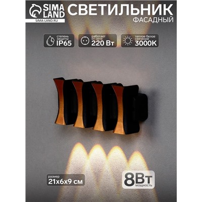 УЦЕНКА Светильник фасадный «Элегант», FSD-041, 8 Вт, 3000К, 4 луча, IP65, 220 В, пластик, черный 1
