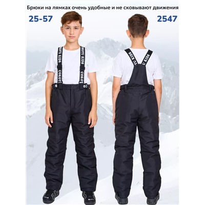 Костюм 2547 серый