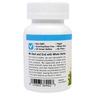 Eclectic Institute, Nettle Quercetin, 350 mg, 90 Non-GMO Veggie Caps