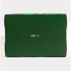 Коробка для капкейка «Зелёный фотографичный Новый год», 23×16×10 см