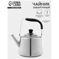Чайник «Чайковский», 3 л, нержавеющая сталь, хромированный