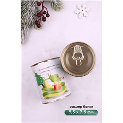 Носки стандарт в банке №GL1703 Змей НАТАЛИ, 1052227