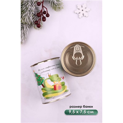Носки стандарт в банке №GL1703 Змей НАТАЛИ, 1052227