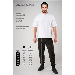 Мужские брюки из футера двухнитки Happyfox