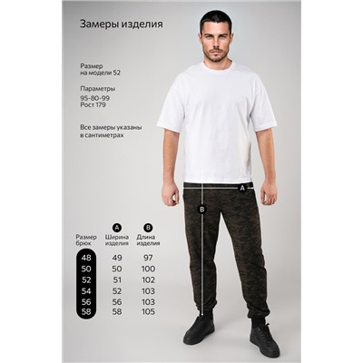 Мужские брюки из футера двухнитки Happyfox