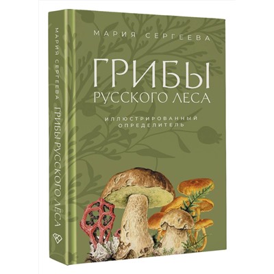 АСТ Мария Сергеева "Грибы русского леса. Иллюстрированный определитель"