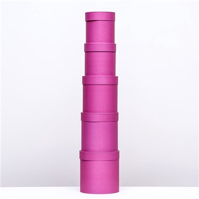 Набор шляпных подарочных коробок 5 в 1 «Фуксия однотонный»,20×20×20‒11×11×11 см