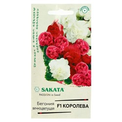 Семена цветов Бегония "Королева", ц/п,  F1, вечноцветущая, махровая, смесь, гранулы, 4 шт