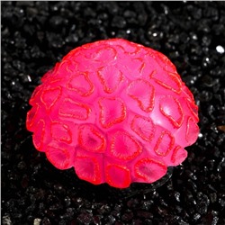 Декор для аквариума коралл Faviidae, 5×2.5 см, силиконовый, розовый