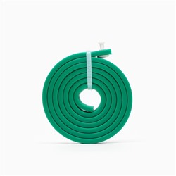 Биоошейник от паразитов «Пижон Premium» для собак, зелёный, 65 см