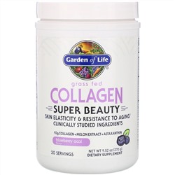 Garden of Life, Super Beauty, экологически чистый коллаген, черника и асаи, 270 г (9,52 унции)