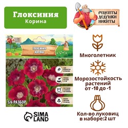 Глоксиния "Корина", р-р 5/6, 2 шт Весна 2025