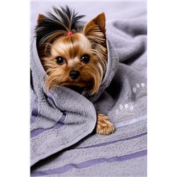 Полотенце 14418/8 Лапки маленькие НАТАЛИ, 1124337