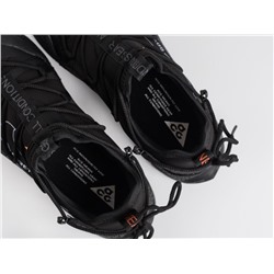 Кроссовки Nike ACG Air Terra Antarktik Low