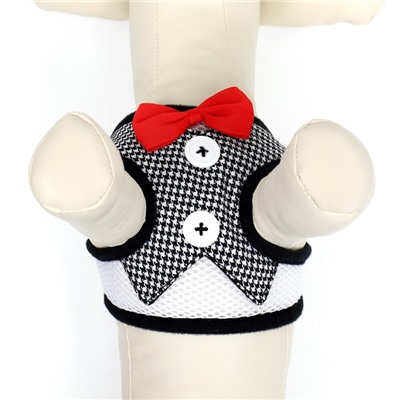 Комплект с мягкой шлейкой и бантиком, размер S, поводок 120×1.5 см, ОГ 23-42 см, серый