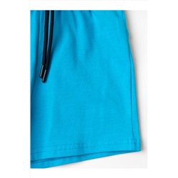 Комплект детский трикотажный для мальчиков: джемпер (футболка), шорты PLAYTODAY, 1240111