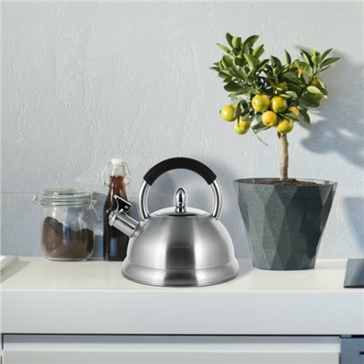 Чайник #23094283