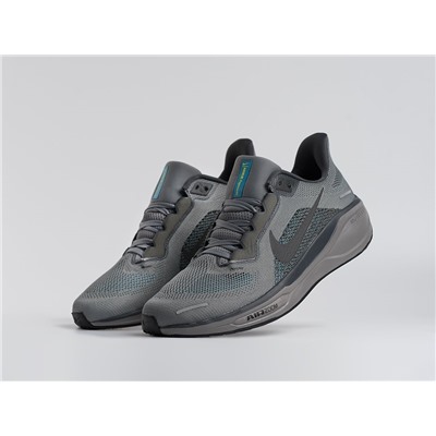 Кроссовки Nike Air Zoom Pegasus 41