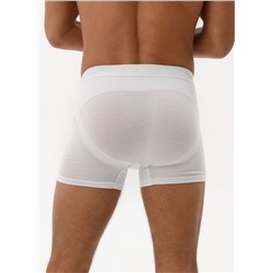 Мужские трусы Berrak