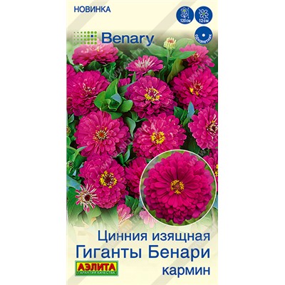 Цинния Гиганты Бенари Кармин (Код: 93613)