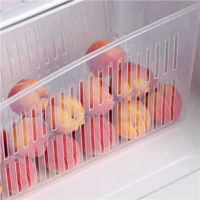 Контейнер для холодильника, 24.5×9.5×14 см