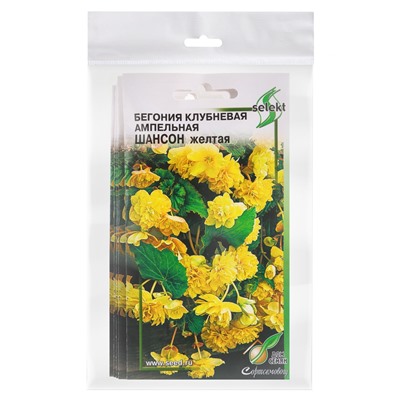 Набор семян Бегония ампельная "Шансон" клубневая, желтая, 5 шт.