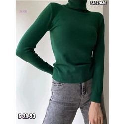 Водолазка 1983429-4