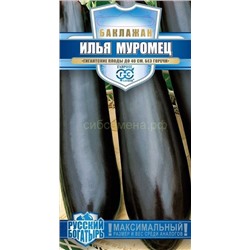 Баклажан Илья Муромец (Гавр)