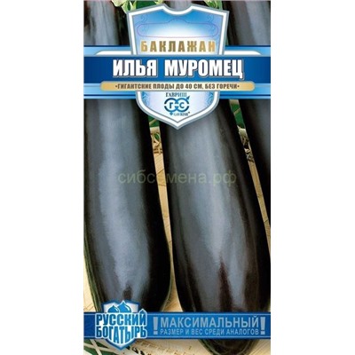 Баклажан Илья Муромец (Гавр)