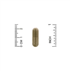 Organic India, тулси (базилик священный), 180 растительных капсул