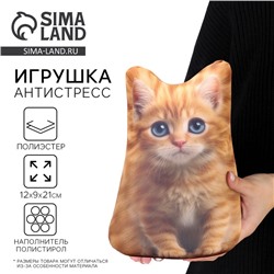 Антистресс игрушка «Котёнок рыжий»
