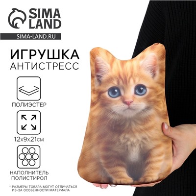 Антистресс игрушка «Котёнок рыжий»
