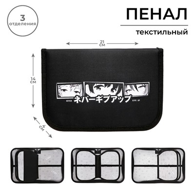 Пенал школьный, 3 секции, 14×21×4 см «Аниме глаза»